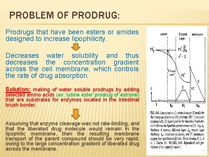 PROBLEM OF PRODRUG: Prodrugs that have been esters or amides designed to increase lipophilicity.