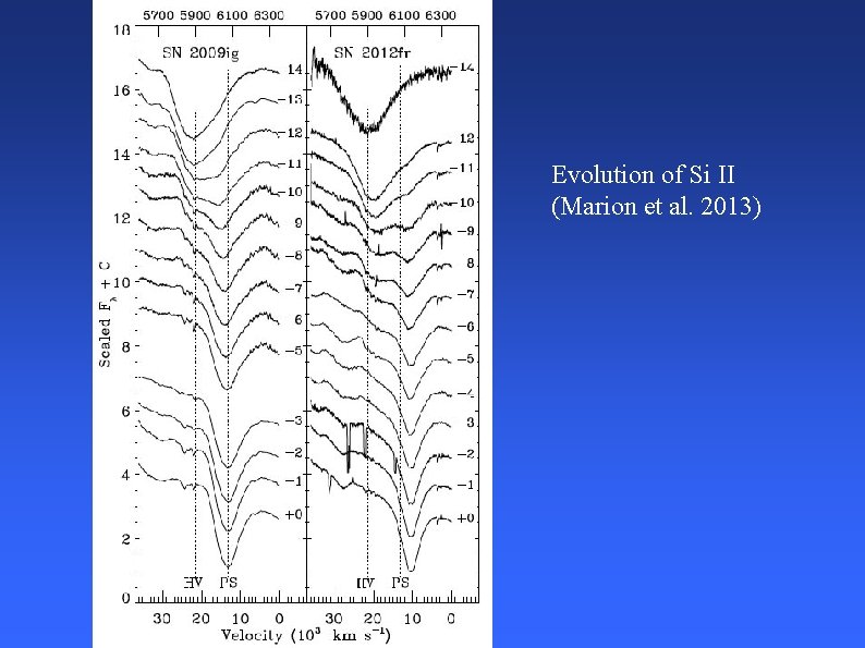 Evolution of Si II (Marion et al. 2013) 