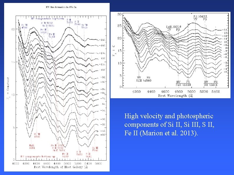 High velocity and photospheric components of Si II, Si III, S II, Fe II