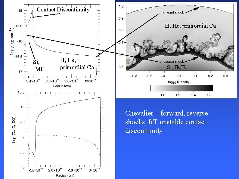 Contact Discontinuity H, He, primordial Ca Si, IME Chevalier – forward, reverse shocks, RT