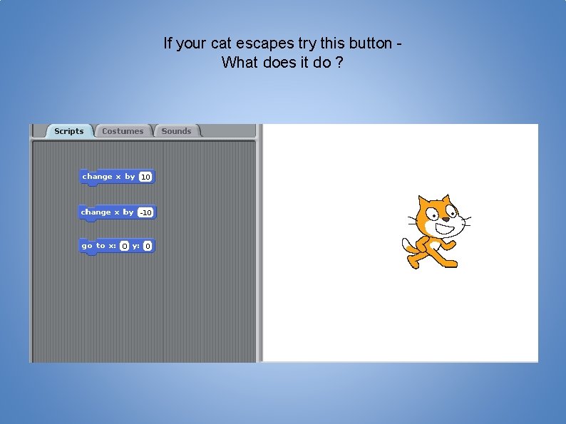 If your cat escapes try this button What does it do ? 