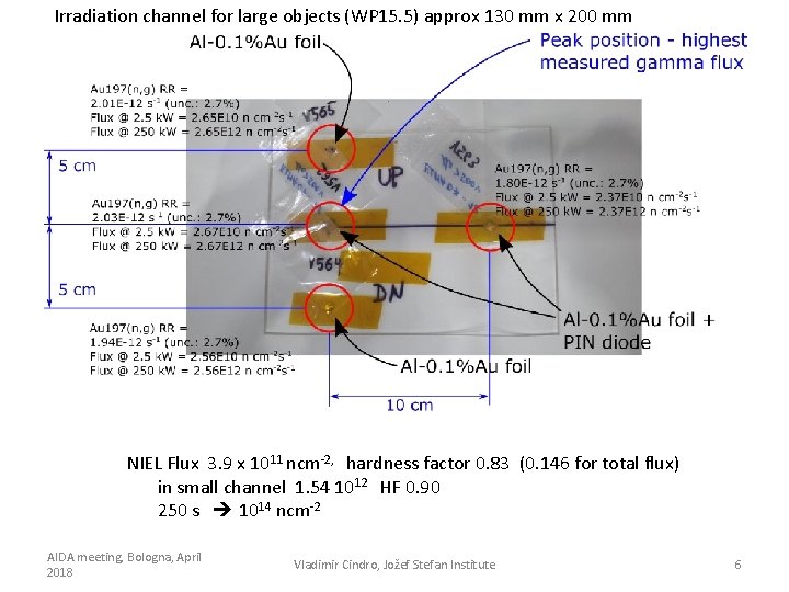 Irradiation channel for large objects (WP 15. 5) approx 130 mm x 200 mm