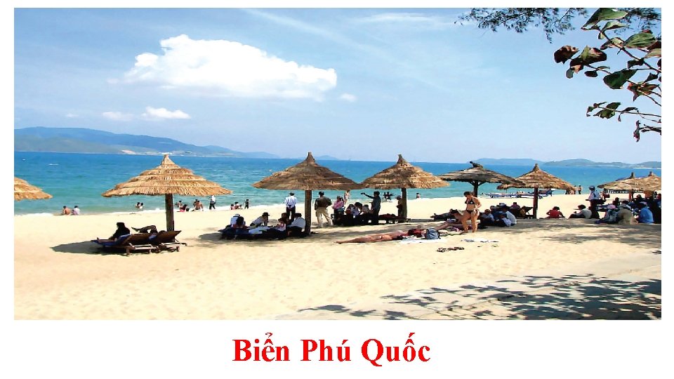 Biển Phú Quốc 