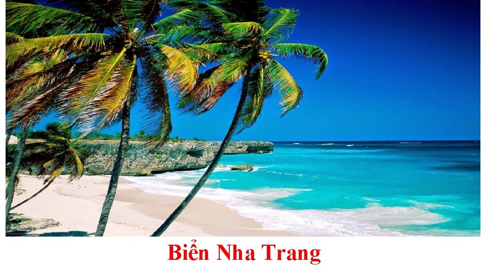 Biển Nha Trang 