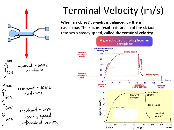 Terminal Velocity (m/s) When an object’s weight is balanced by the air resistance. There