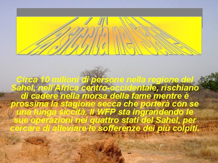 Circa 10 milioni di persone nella regione del Sahel, nell'Africa centro-occidentale, rischiano di cadere