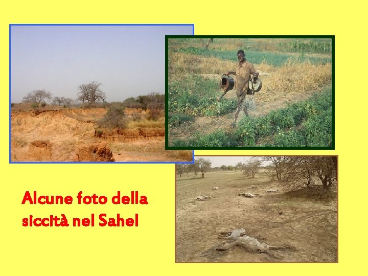 Alcune foto della siccità nel Sahel 