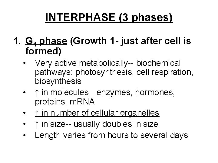 INTERPHASE (3 phases) 1. G 1 phase (Growth 1 - just after cell is