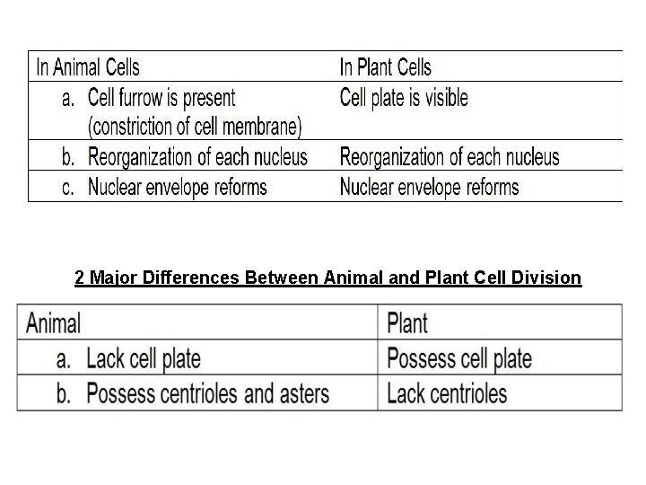 2 Major Differences Between Animal and Plant Cell Division 