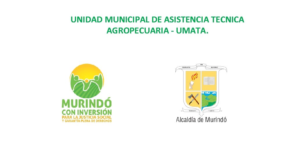 UNIDAD MUNICIPAL DE ASISTENCIA TECNICA AGROPECUARIA - UMATA. 