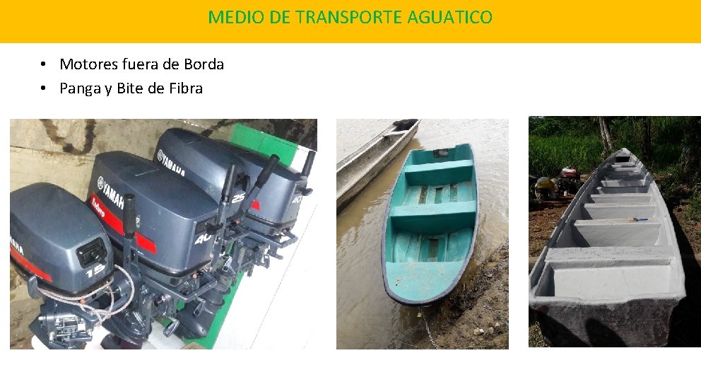 MEDIO DE TRANSPORTE AGUATICO • Motores fuera de Borda • Panga y Bite de