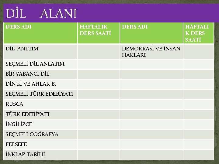 DİL ALANI DERS ADI DİL ANLTIM SEÇMELİ DİL ANLATIM BİR YABANCI DİL DİN K.