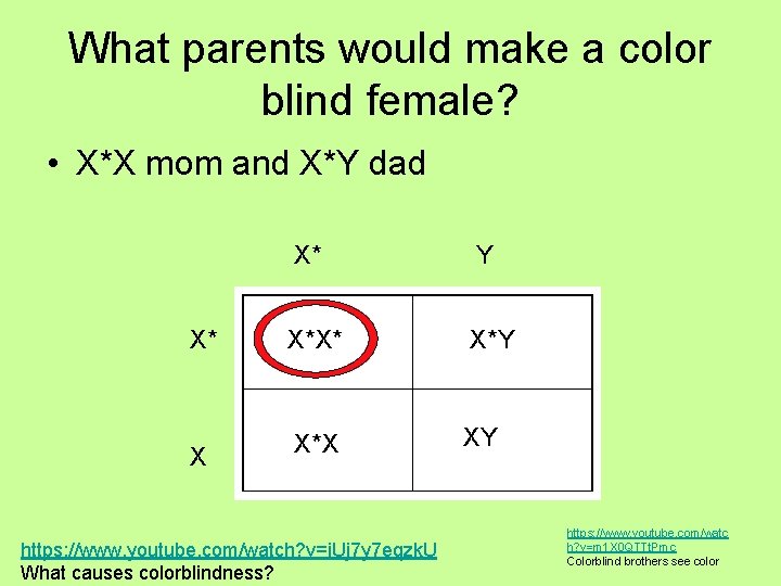 What parents would make a color blind female? • X*X mom and X*Y dad