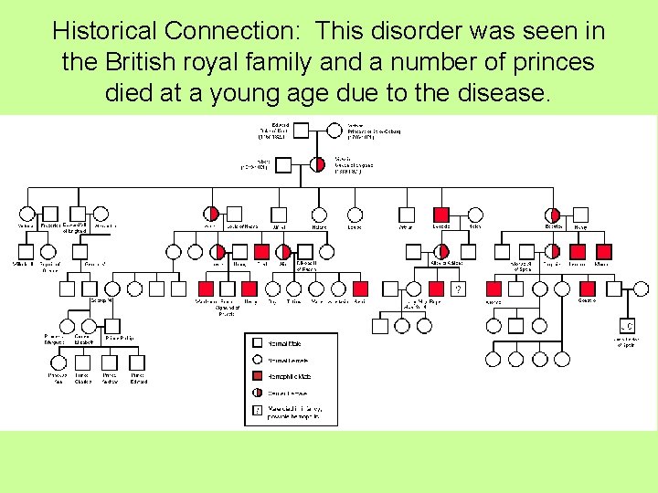 Historical Connection: This disorder was seen in the British royal family and a number