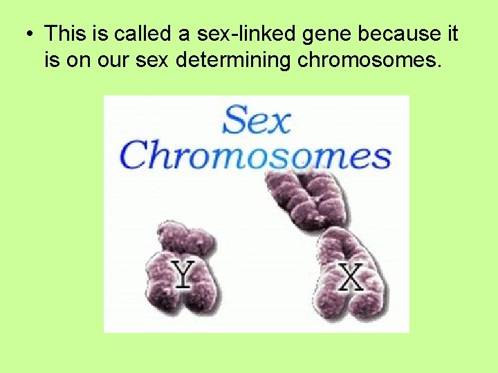  • This is called a sex-linked gene because it is on our sex