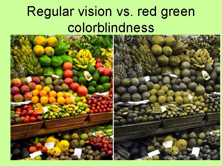 Regular vision vs. red green colorblindness 