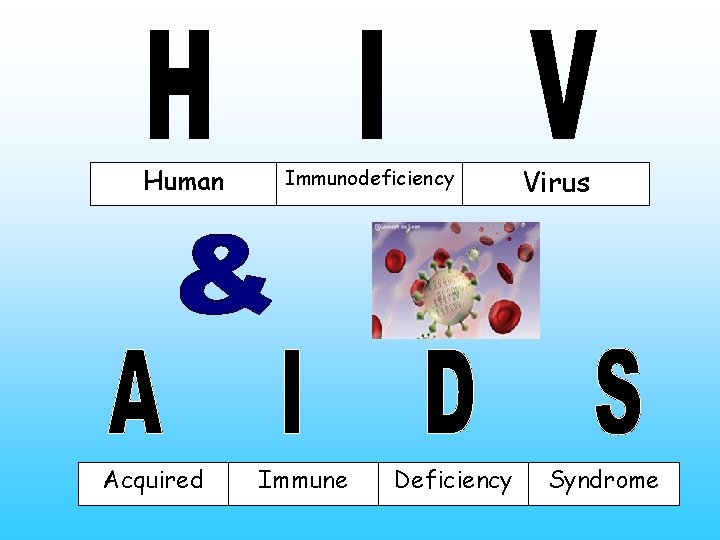 Human Acquired Immunodeficiency Immune Deficiency Virus Syndrome 