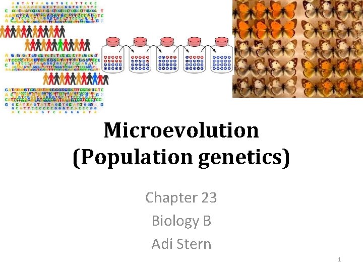 Microevolution (Population genetics) Chapter 23 Biology B Adi Stern 1 
