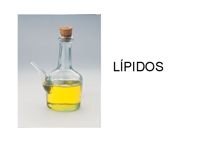 LÍPIDOS 