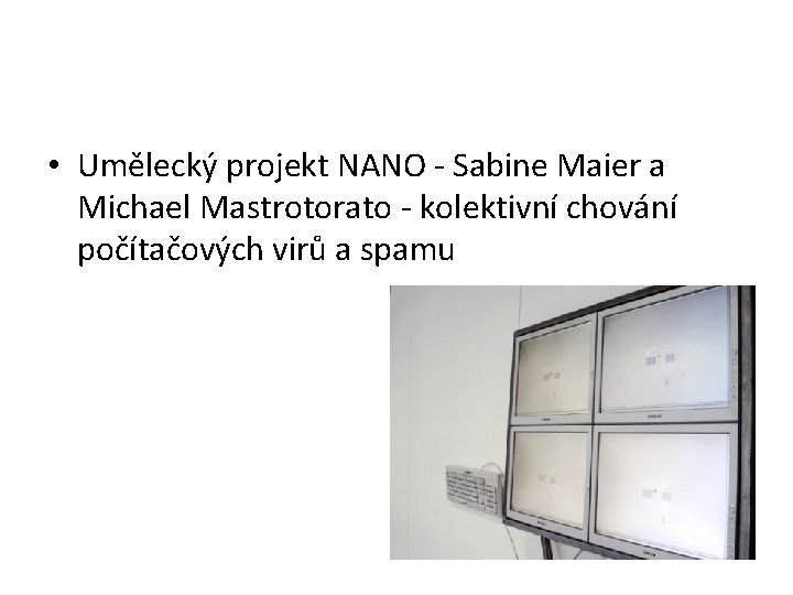  • Umělecký projekt NANO - Sabine Maier a Michael Mastrotorato - kolektivní chování