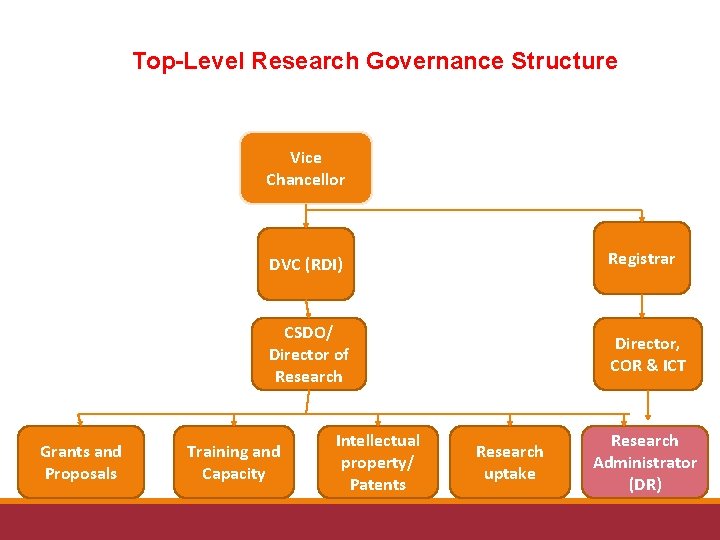 Top-Level Research Governance Structure Vice Chancellor Grants and Proposals DVC (RDI) Registrar CSDO/ Director