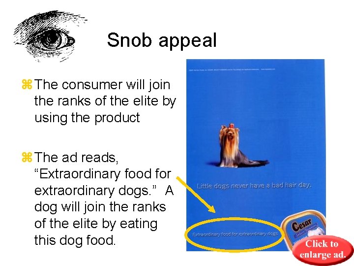 Snob appeal z The consumer will join the ranks of the elite by using