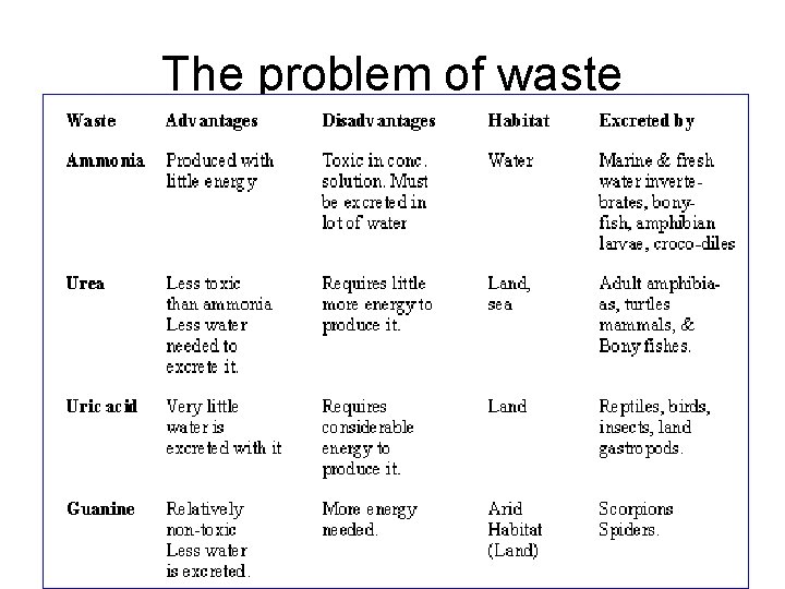 The problem of waste 