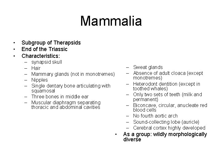 Mammalia • • • Subgroup of Therapsids End of the Triassic Characteristics: – –