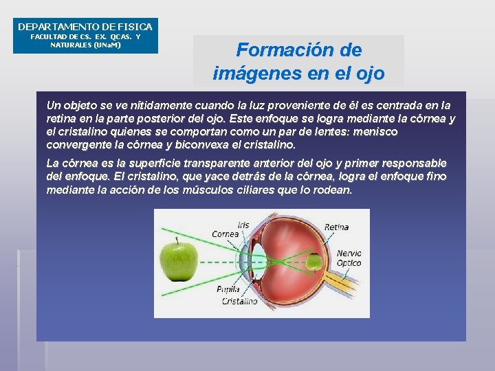 DEPARTAMENTO DE FISICA FACULTAD DE CS. EX. QCAS. Y NATURALES (UNa. M) Formación de