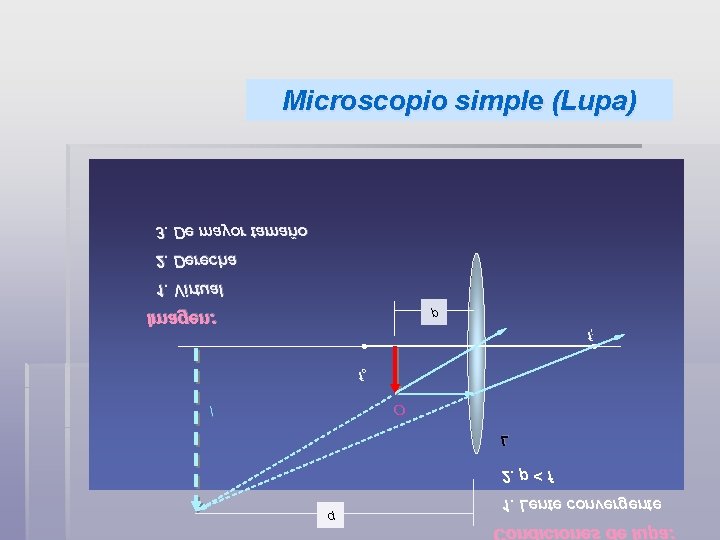 Microscopio simple (Lupa) 3. De mayor tamaño 2. Derecha 1. Virtual Imagen: p fi