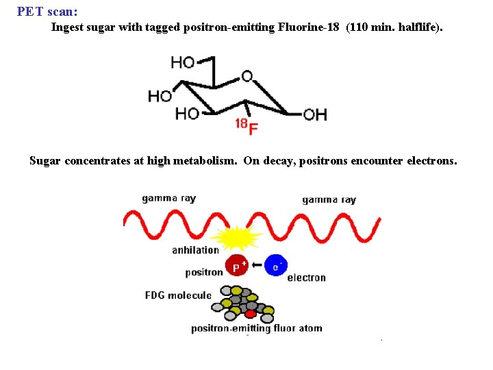 PET scan: Ingest sugar with tagged positron-emitting Fluorine-18 (110 min. halflife). Sugar concentrates at