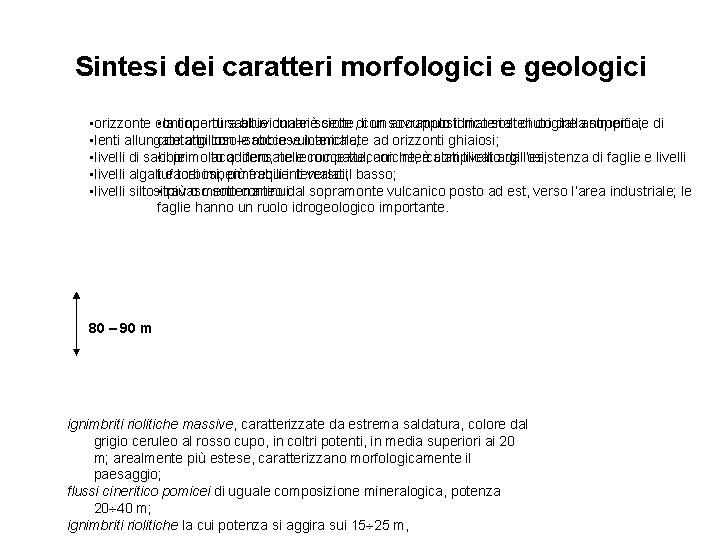 Sintesi dei caratteri morfologici e geologici • orizzonte continuo • la copertura di sabbie