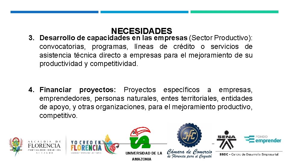 NECESIDADES 3. Desarrollo de capacidades en las empresas (Sector Productivo): convocatorias, programas, líneas de