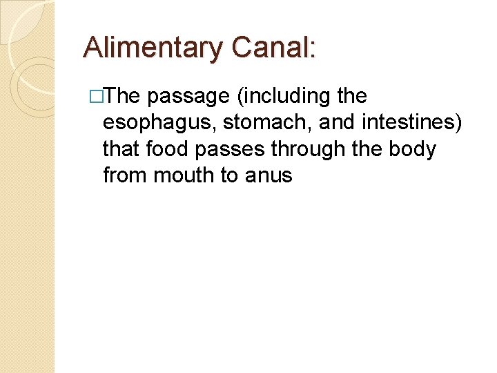 Alimentary Canal: �The passage (including the esophagus, stomach, and intestines) that food passes through