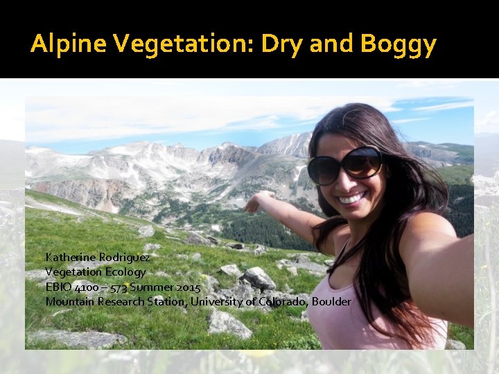 Alpine Vegetation: Dry and Boggy Katherine Rodriguez Vegetation Ecology EBIO 4100 – 573 Summer