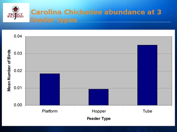 Carolina Chickadee abundance at 3 feeder types 