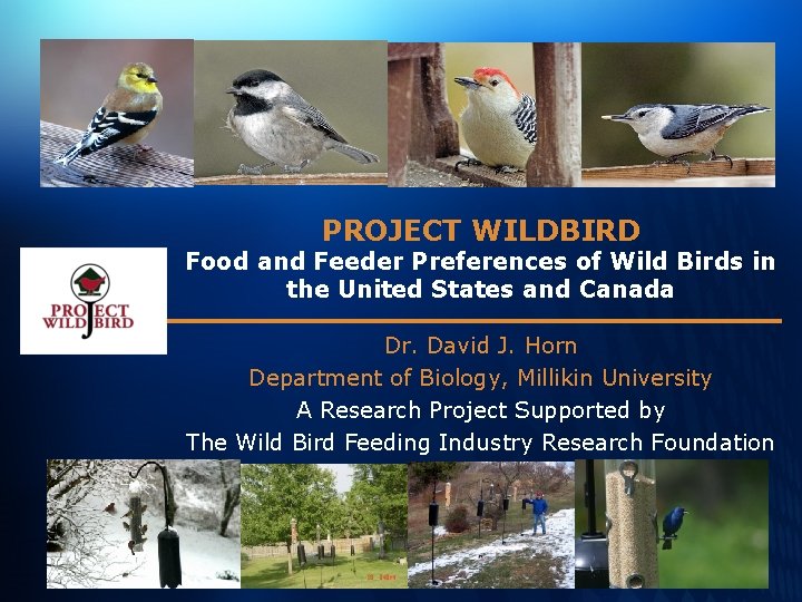PROJECT WILDBIRD Food and Feeder Preferences of Wild Birds in the United States and