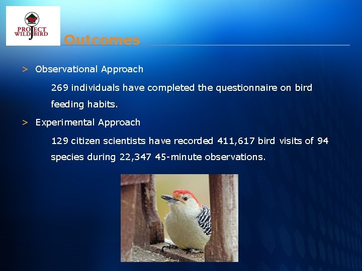 Outcomes > Observational Approach 269 individuals have completed the questionnaire on bird feeding habits.