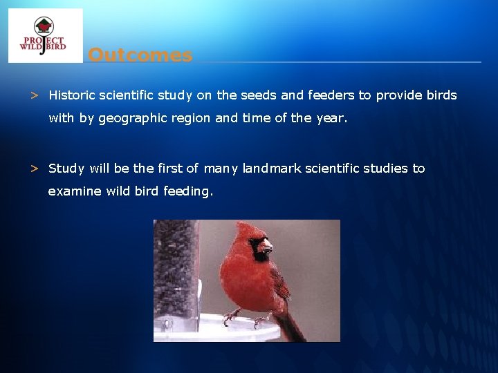 Outcomes > Historic scientific study on the seeds and feeders to provide birds with