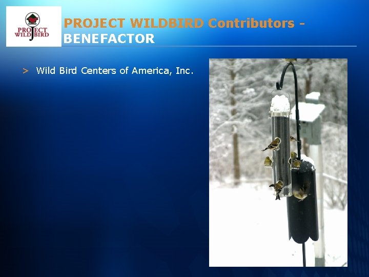 PROJECT WILDBIRD Contributors BENEFACTOR > Wild Bird Centers of America, Inc. 