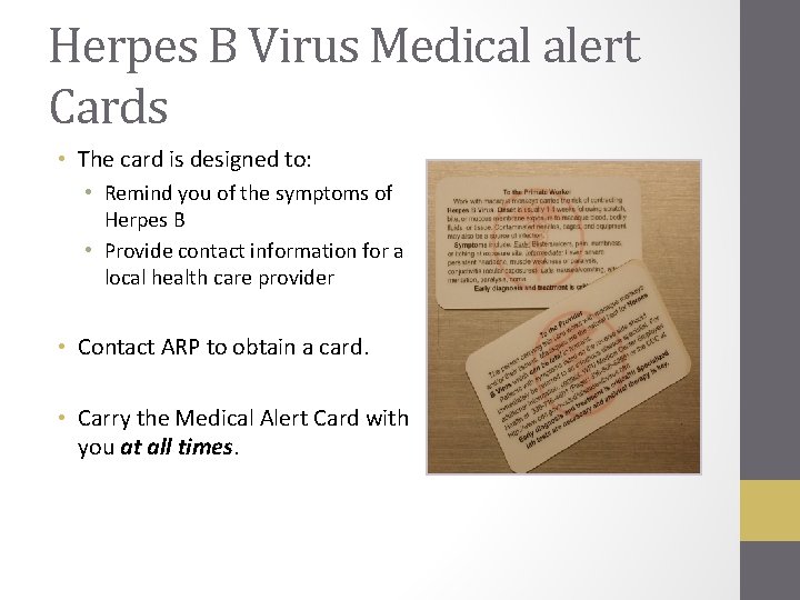 Herpes B Virus Medical alert Cards • The card is designed to: • Remind