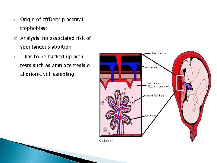 � Origin of cff. DNA: placental trophoblast � Analysis: no associated risk of spontaneous