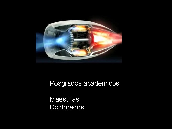 Posgrados académicos Maestrías Doctorados 