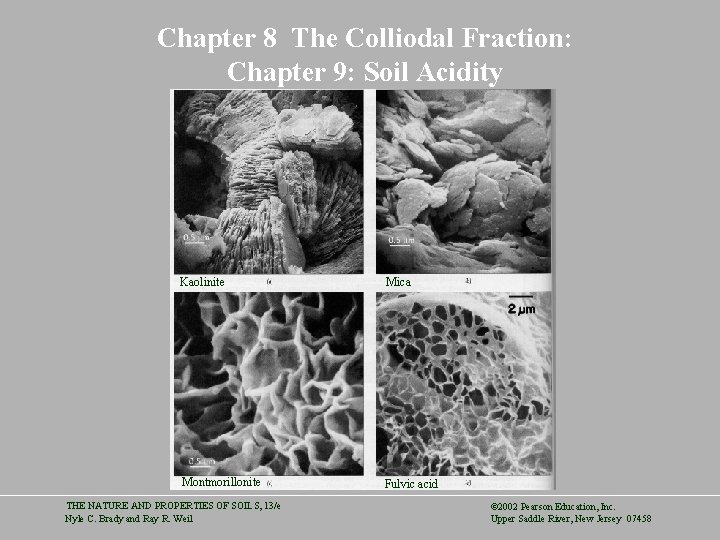Chapter 8 The Colliodal Fraction: Chapter 9: Soil Acidity Kaolinite Mica Montmorillonite Fulvic acid
