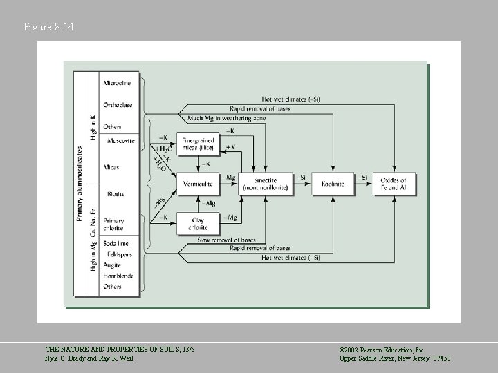 Figure 8. 14 THE NATURE AND PROPERTIES OF SOILS, 13/e Nyle C. Brady and
