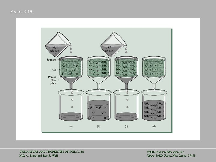 Figure 8. 19 THE NATURE AND PROPERTIES OF SOILS, 13/e Nyle C. Brady and