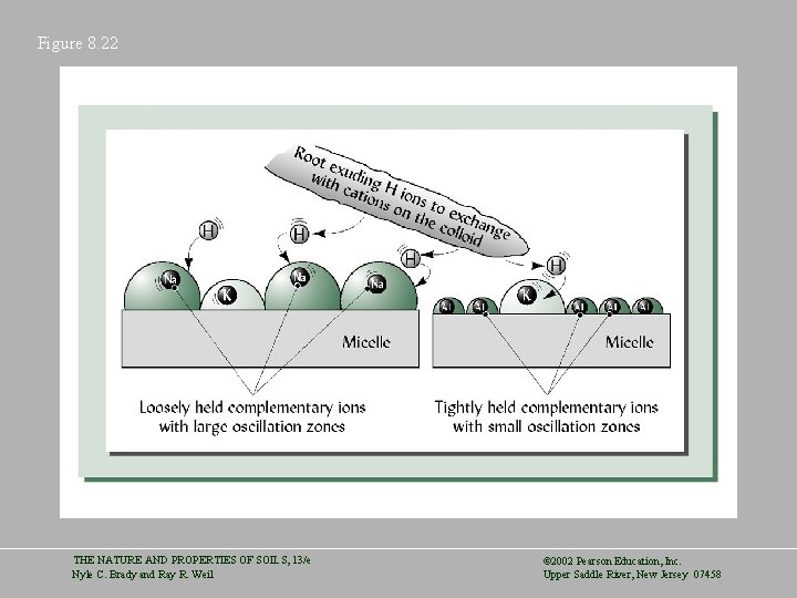 Figure 8. 22 THE NATURE AND PROPERTIES OF SOILS, 13/e Nyle C. Brady and