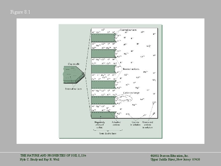 Figure 8. 1 THE NATURE AND PROPERTIES OF SOILS, 13/e Nyle C. Brady and