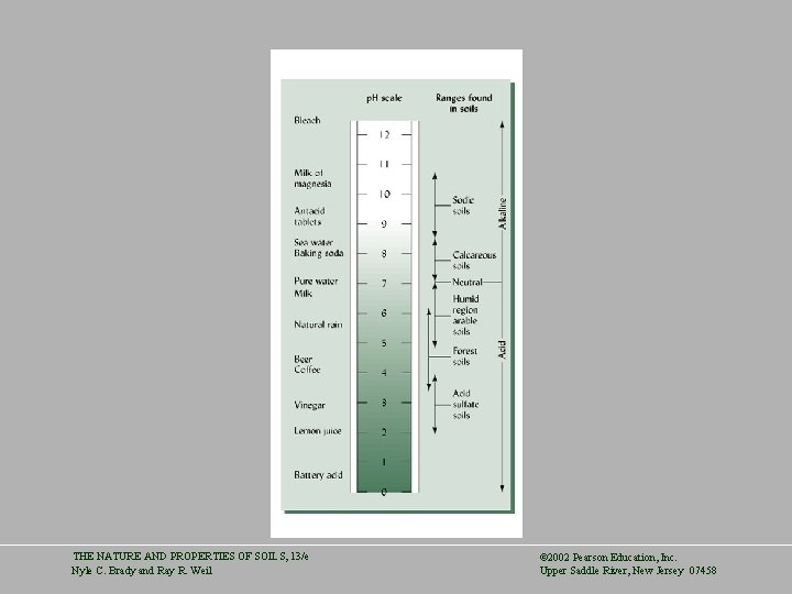THE NATURE AND PROPERTIES OF SOILS, 13/e Nyle C. Brady and Ray R. Weil
