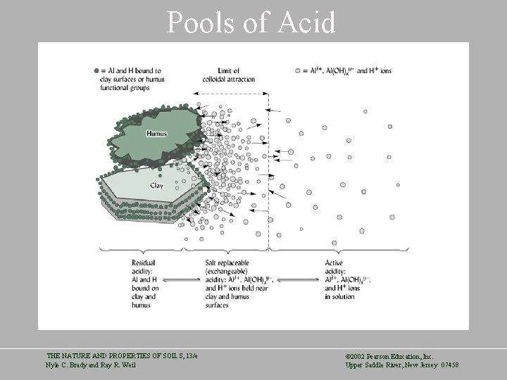 Pools of Acid THE NATURE AND PROPERTIES OF SOILS, 13/e Nyle C. Brady and